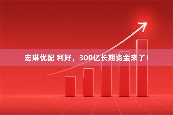 宏琳优配 利好，300亿长期资金来了！