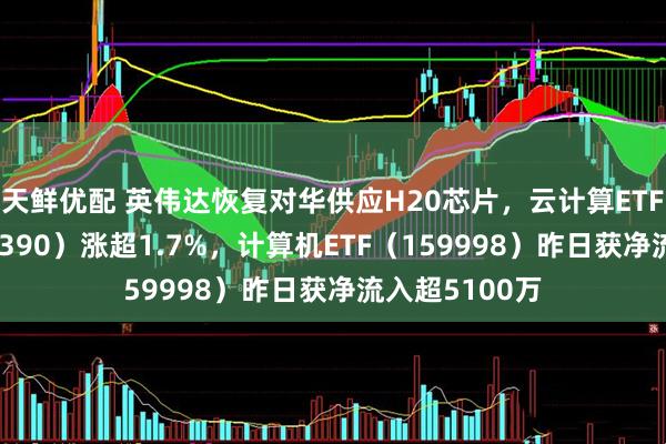 天鲜优配 英伟达恢复对华供应H20芯片，云计算ETF沪港深（517390）涨超1.7%，计算机ETF（159998）昨日获净流入超5100万
