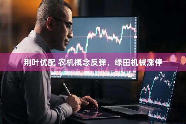荆叶优配 农机概念反弹，绿田机械涨停