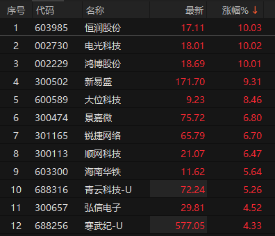 嘉盛投资 算力概念股震荡走高 恒润股份、电光科技、鸿博股份涨停