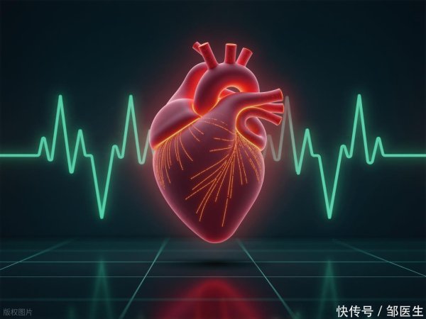 鑫旺资管 一分钟脉搏跳多少次？血压正常吗？医生教你测量脉搏和血压